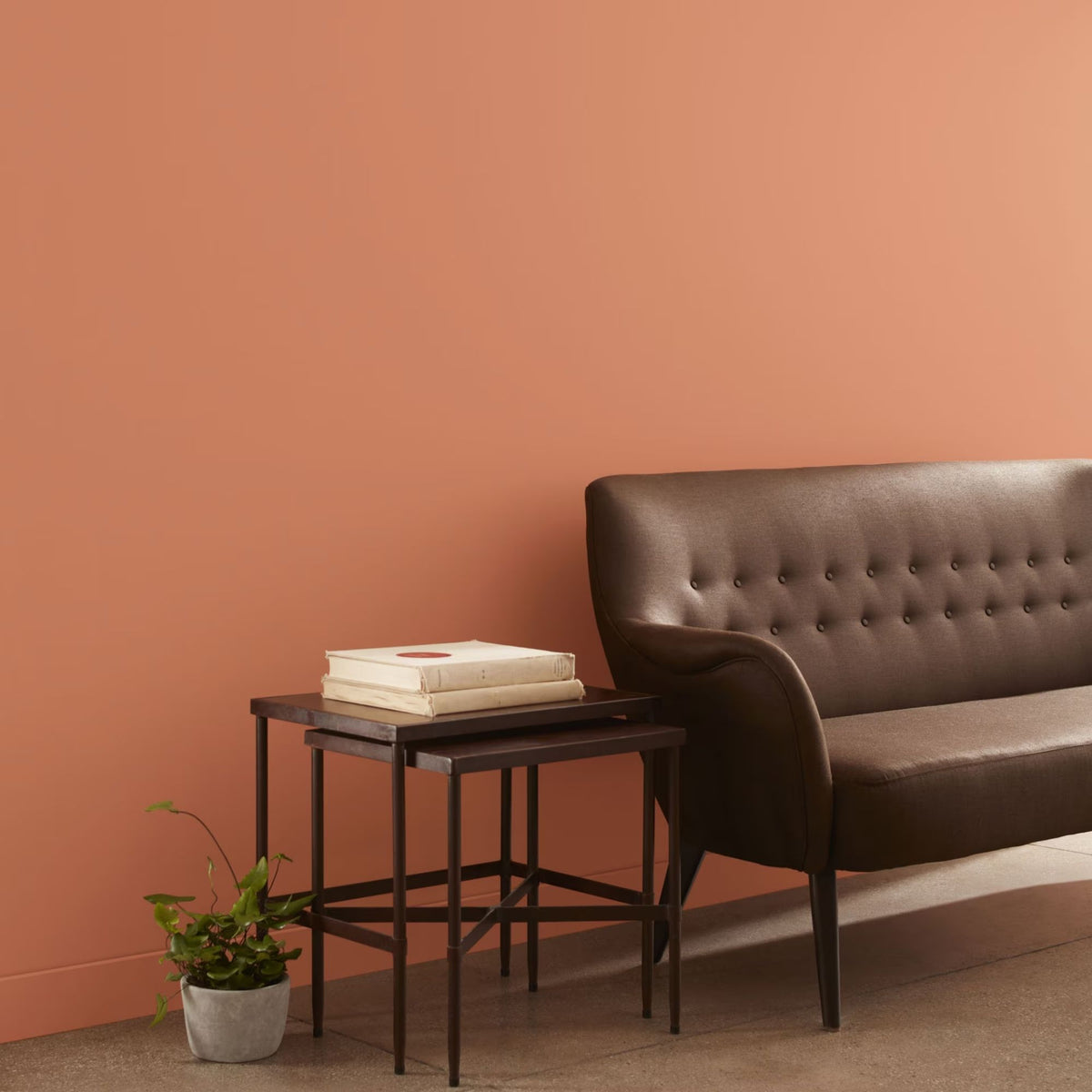 Pumpkin Patch (055) - Benjamin Moore