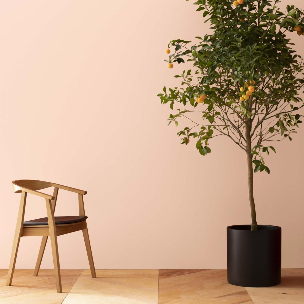 Cameo Rose (071) - Benjamin Moore