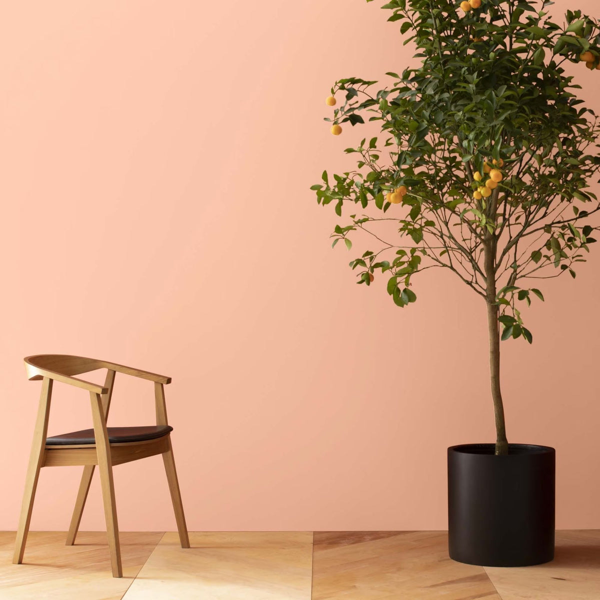Sanibel Peach (072) - Benjamin Moore