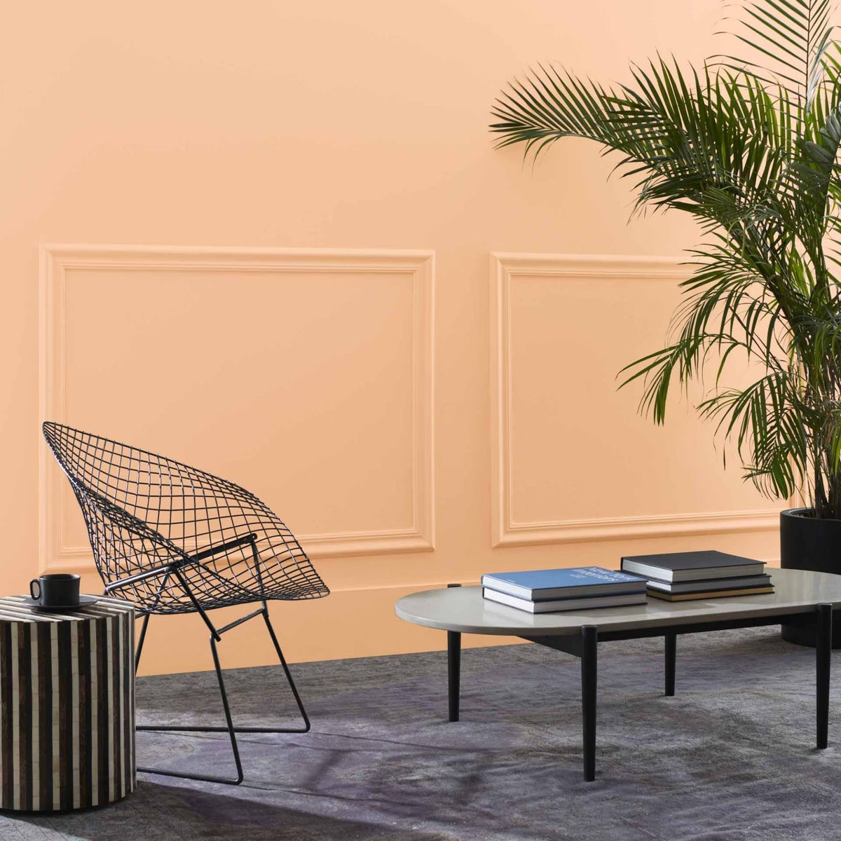 Soft Salmon (096) - Benjamin Moore