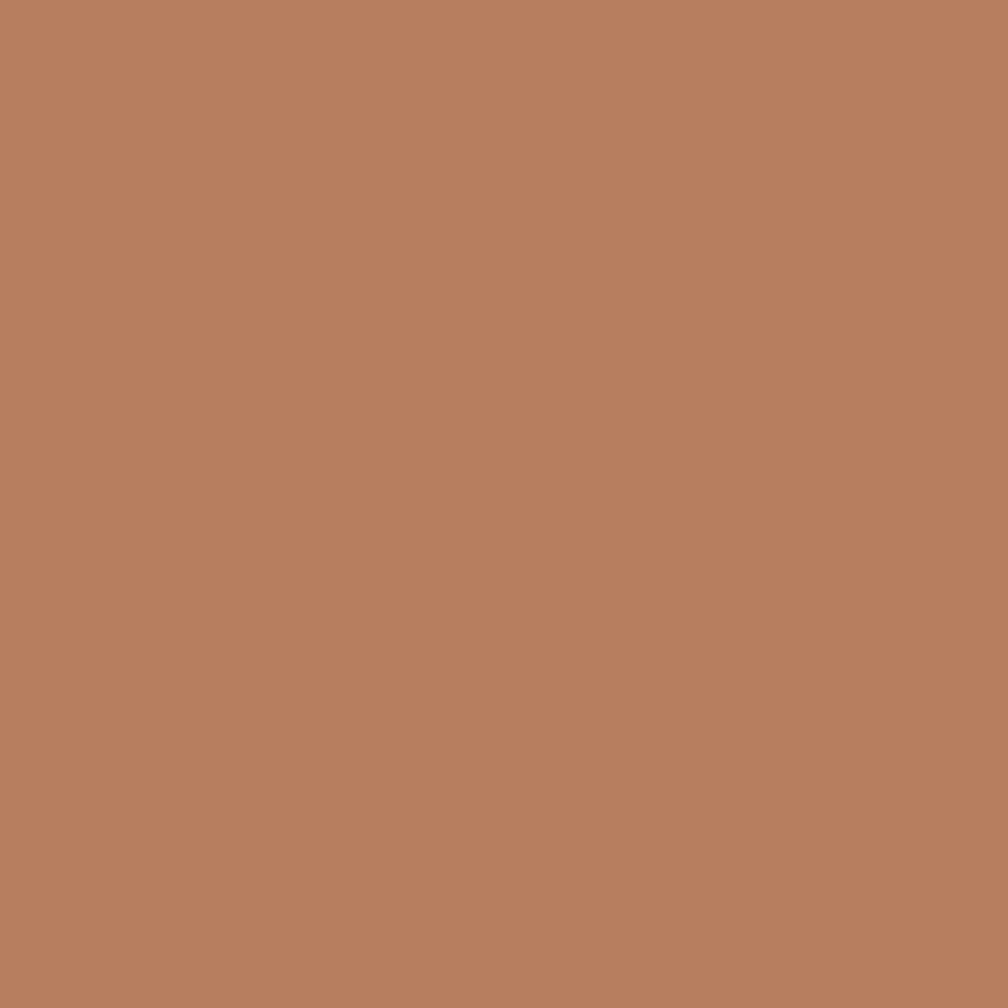 Suntan Bronze (1217) - Benjamin Moore