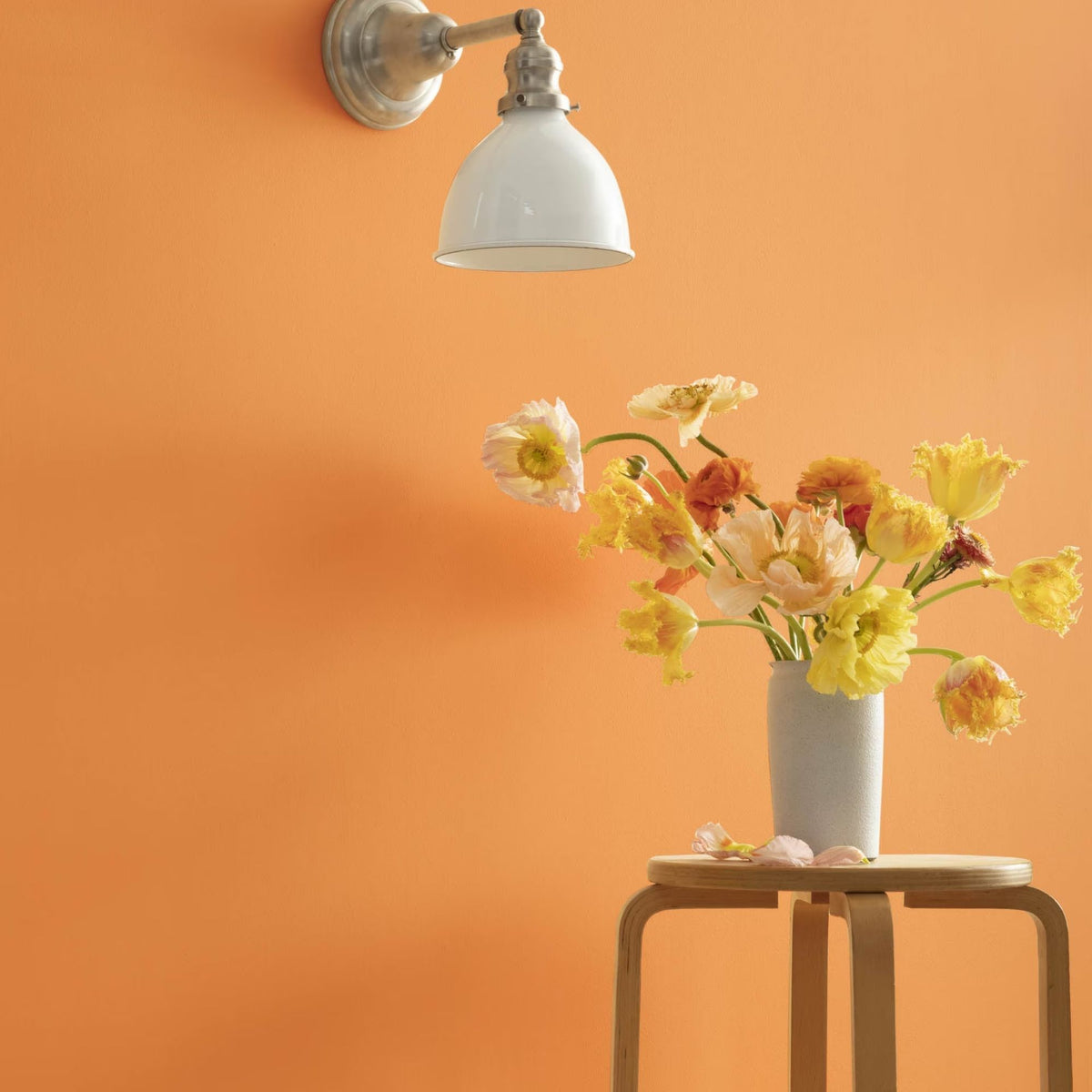 Orange Appeal (124) - Benjamin Moore
