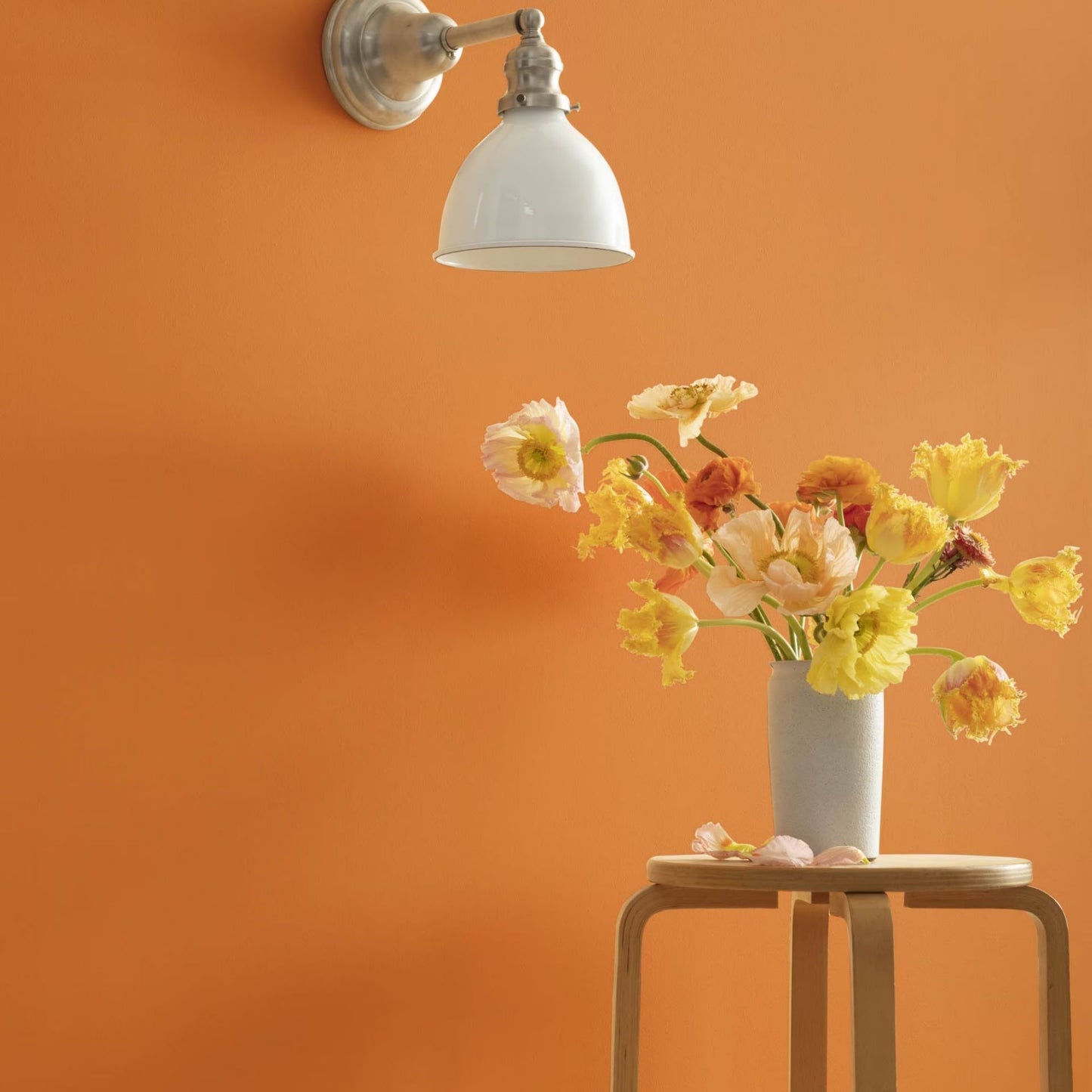 Pumpkin Spice (126) - Benjamin Moore