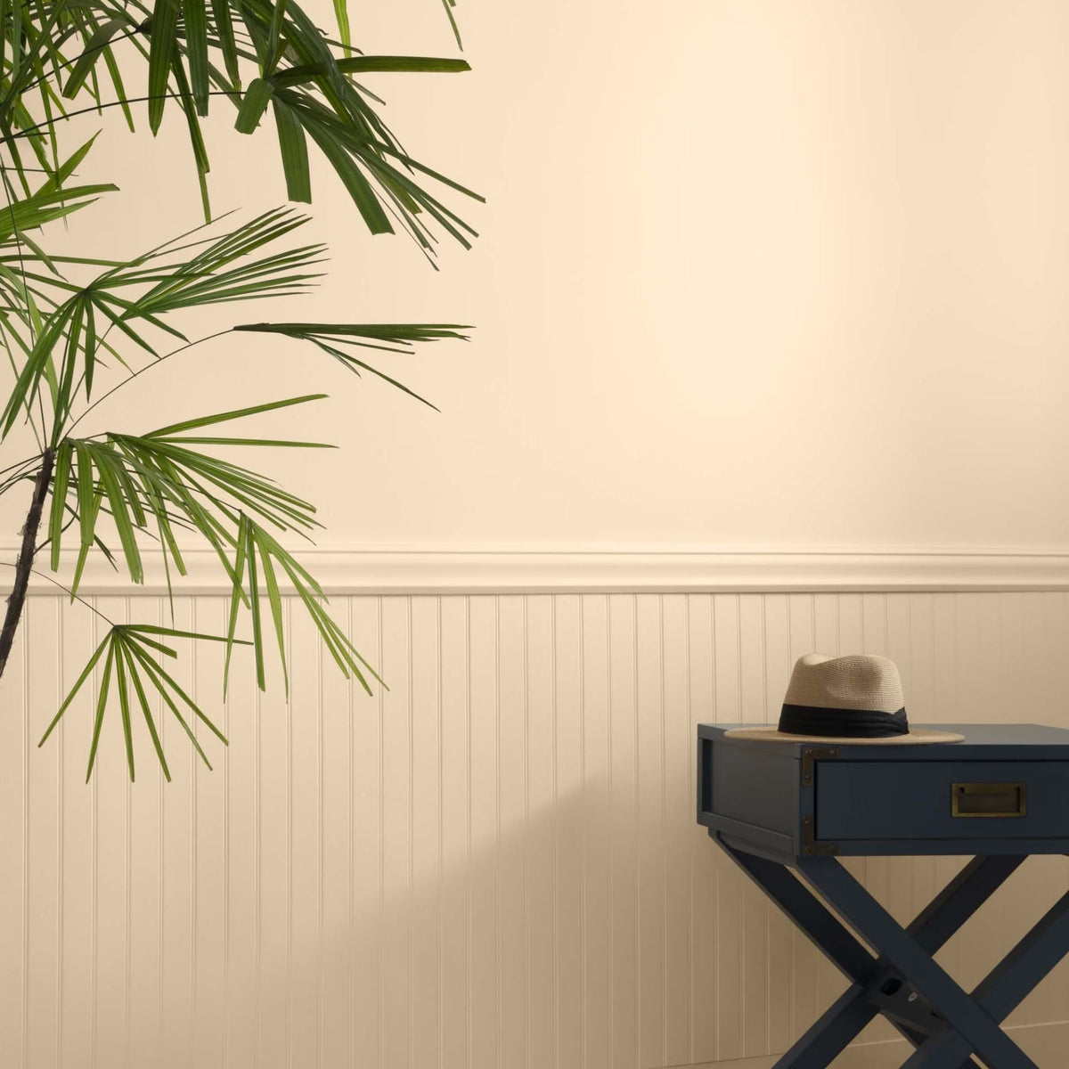 Florida Seashells (128) - Benjamin Moore