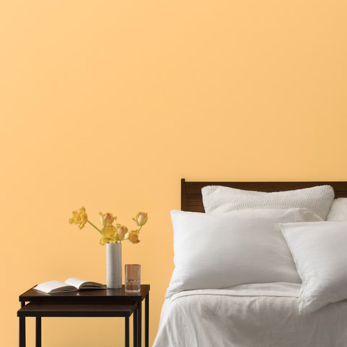 Florida Orange (152) - Benjamin Moore