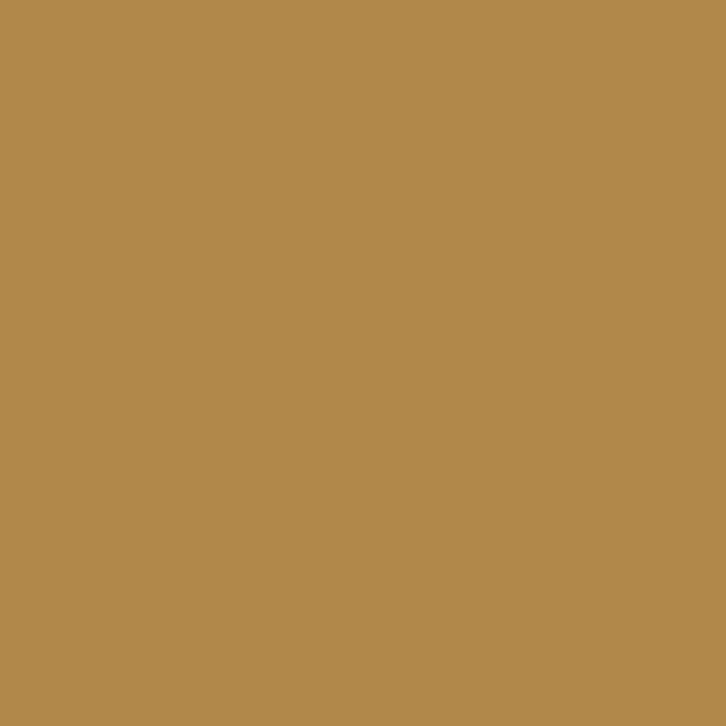 Solid dark yellow brown colour swatch showing Benjamin Moore Golden Hurst 196 paint colour