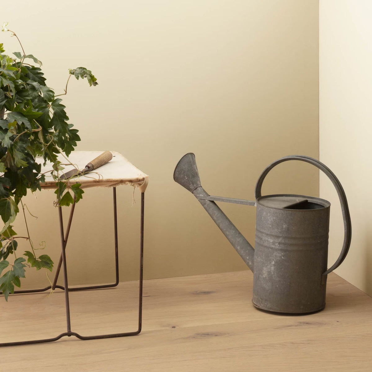 Chatsworth Cream (225) - Benjamin Moore