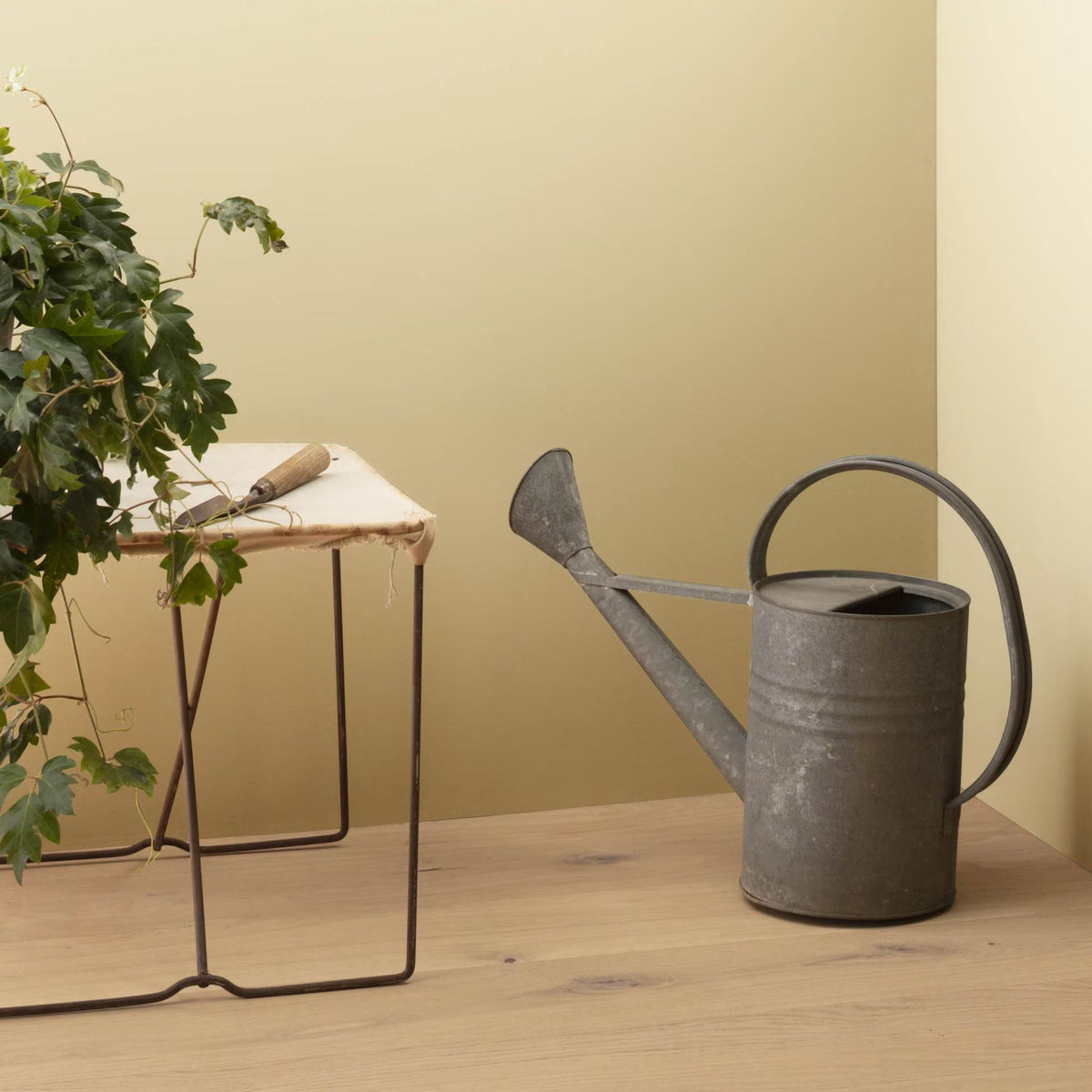 Consentino Chardonnay (247) - Benjamin Moore
