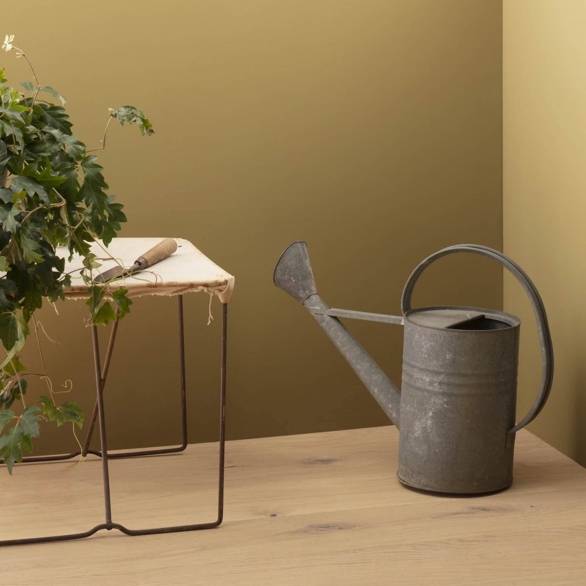 Porter Ridge Tan (250) - Benjamin Moore