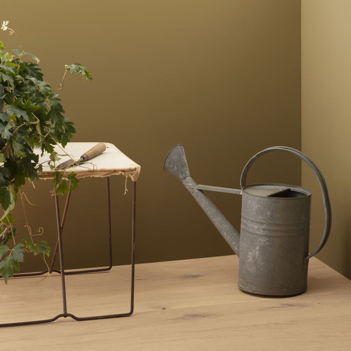 Olivetone (252) - Benjamin Moore