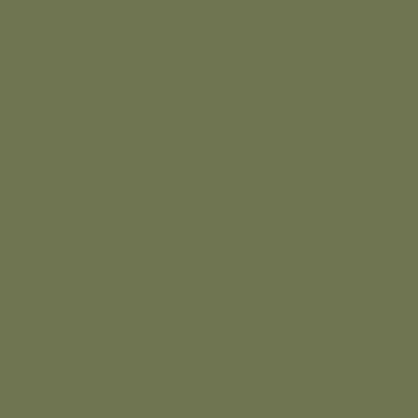 Solid deep green grey colour swatch showing Benjamin Moore Pine Brook 490 paint colour