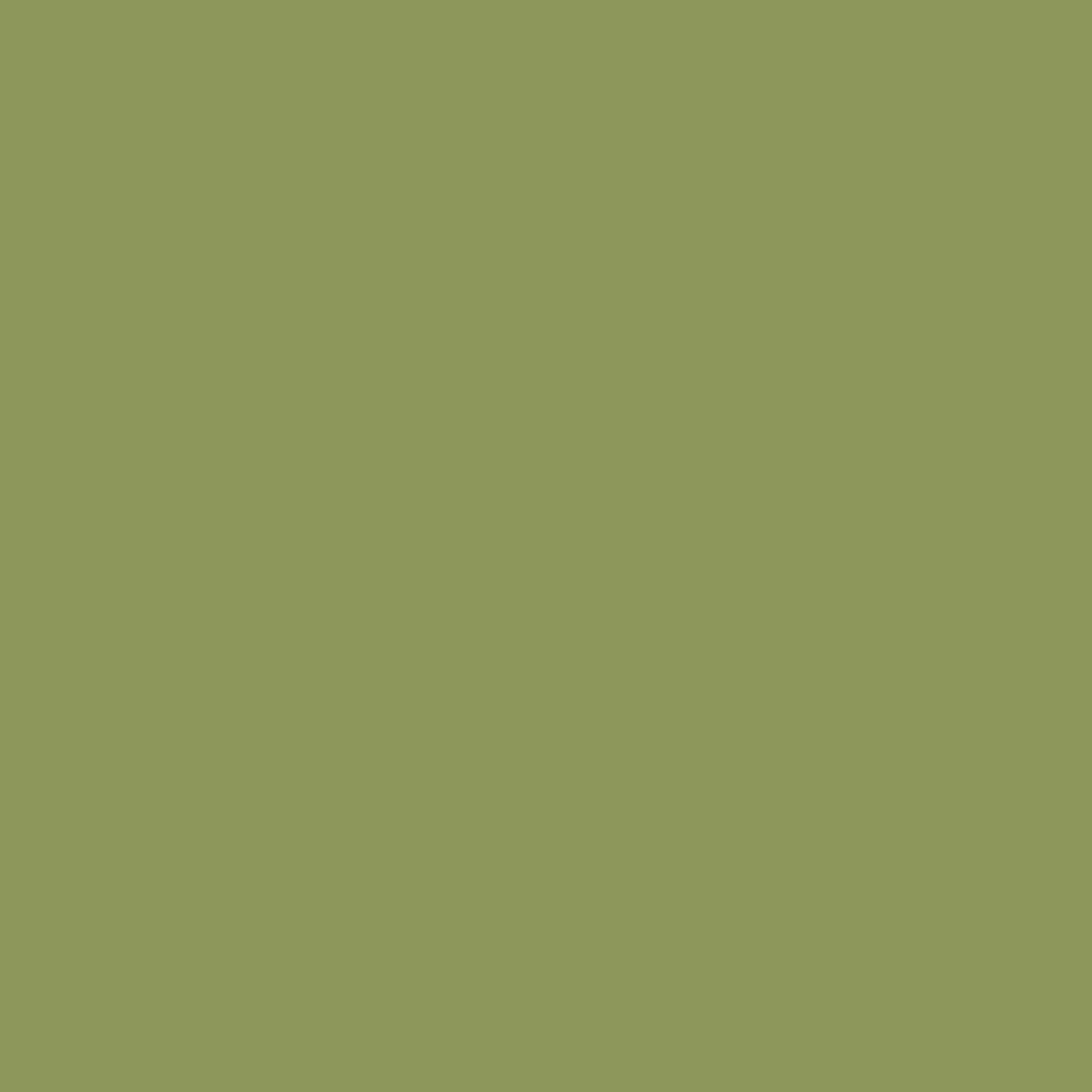 Solid deep green colour swatch showing Benjamin Moore Sycamore Tree 539 paint colour