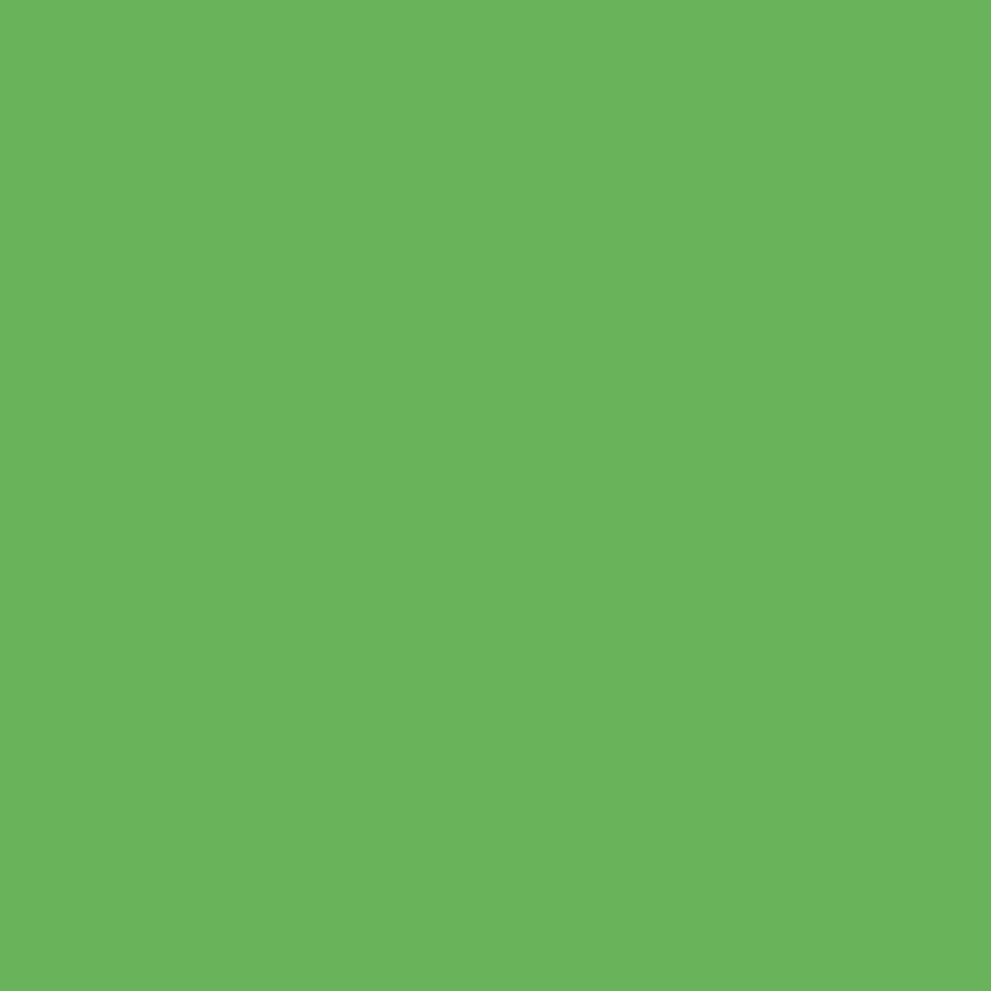 Solid deep green colour swatch showing Benjamin Moore Paradise Valley 559 paint colour