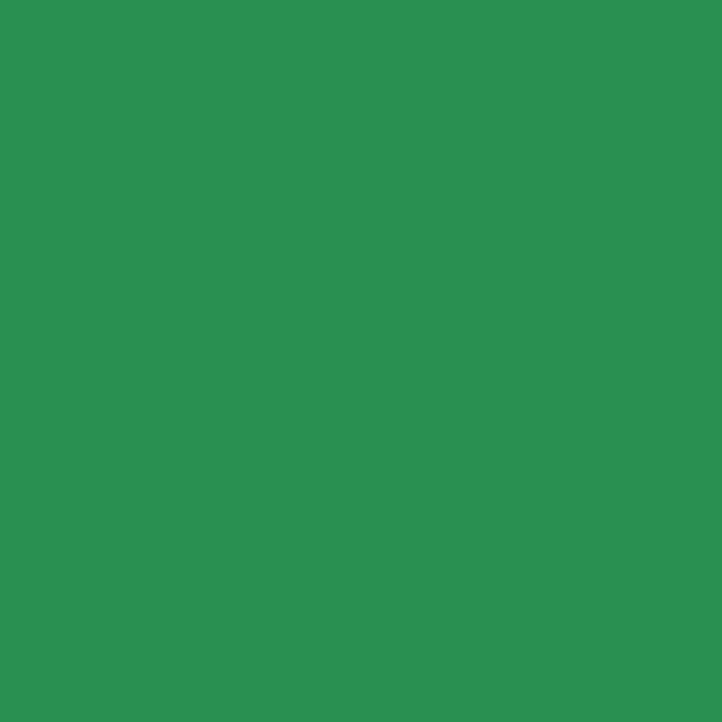 Solid deep green colour swatch showing Benjamin Moore Once Upon A Time 574 paint colour