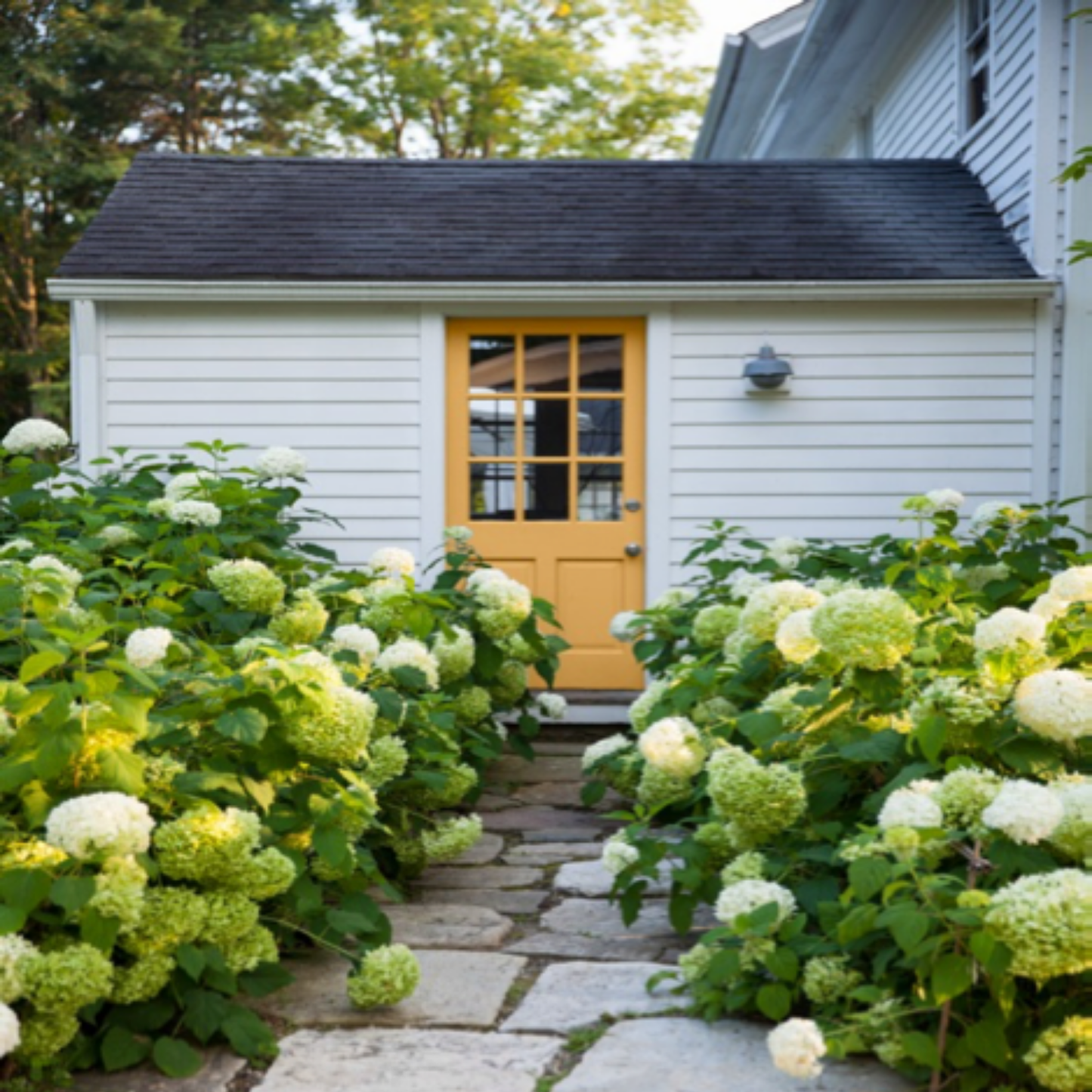 Benjamin Moore Aura Exterior Flat