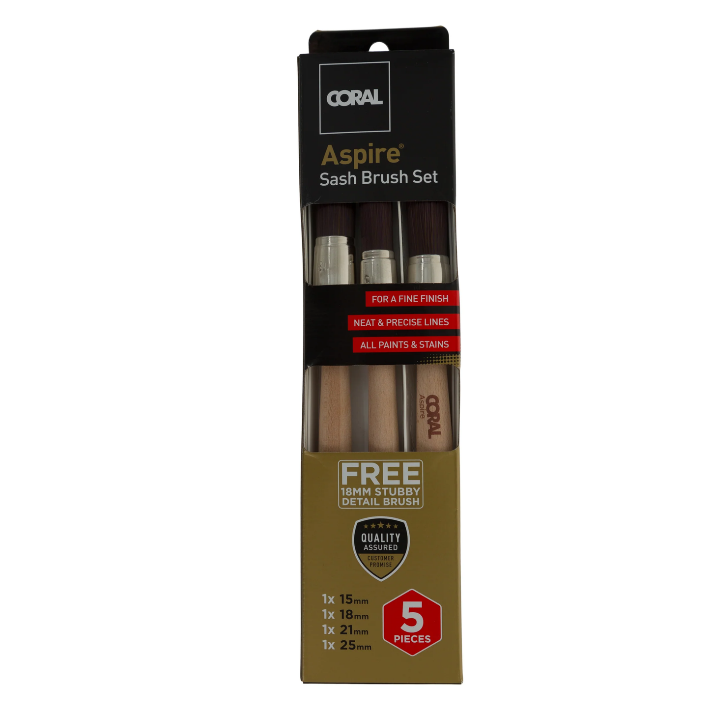 Coral Aspire Synthetic Sash Paint Brush Set - 5 Piece