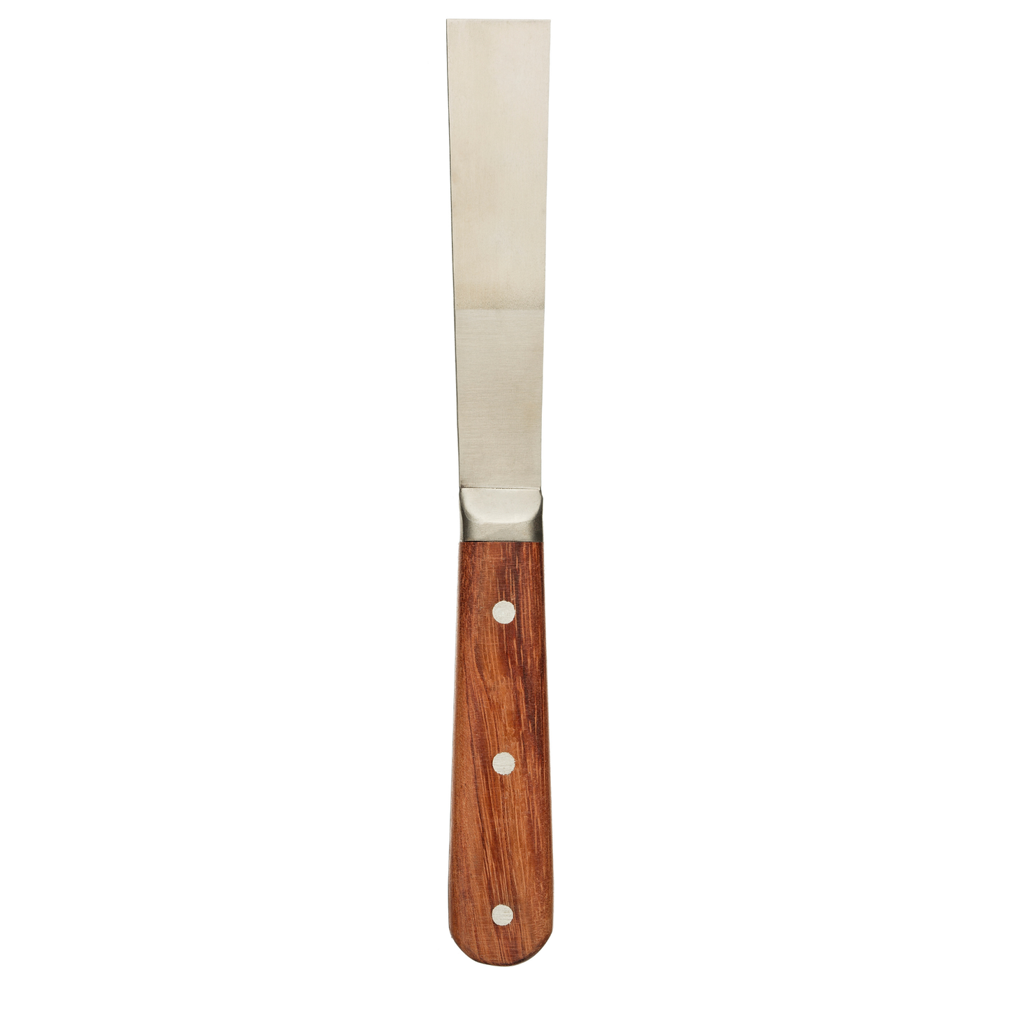 Coral Elite Stainless Steel Chisel Knife 1" (25mm)
