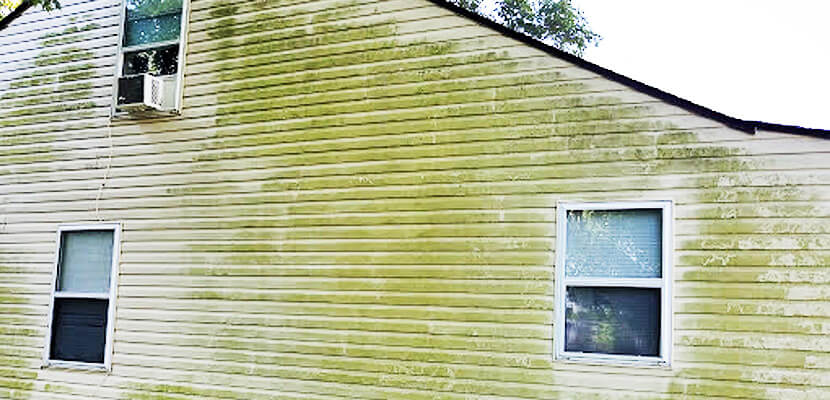 Teknos Rensa Anti-Mould Surface Treatment