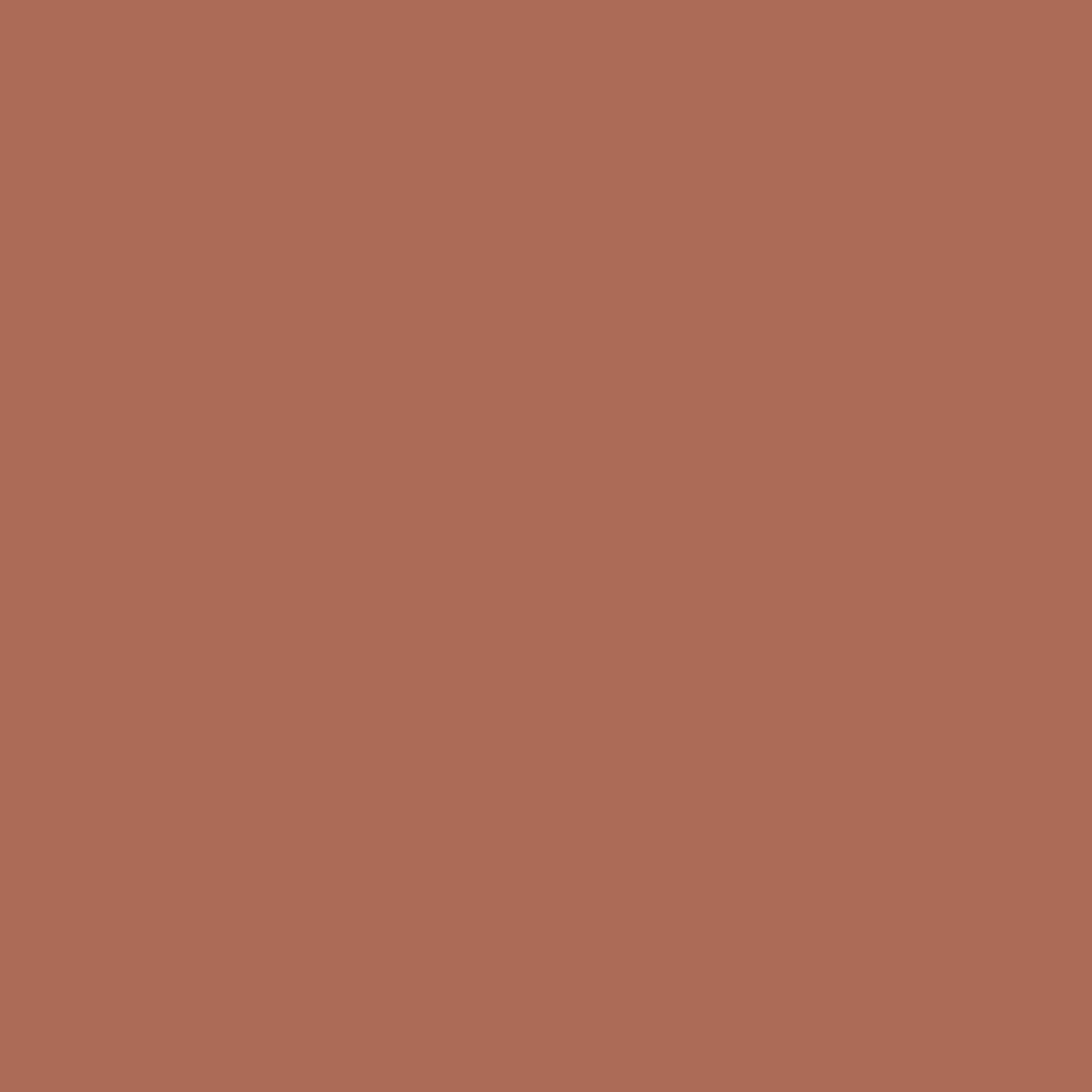 Cannelle saupoudrée - Dulux / Armstead