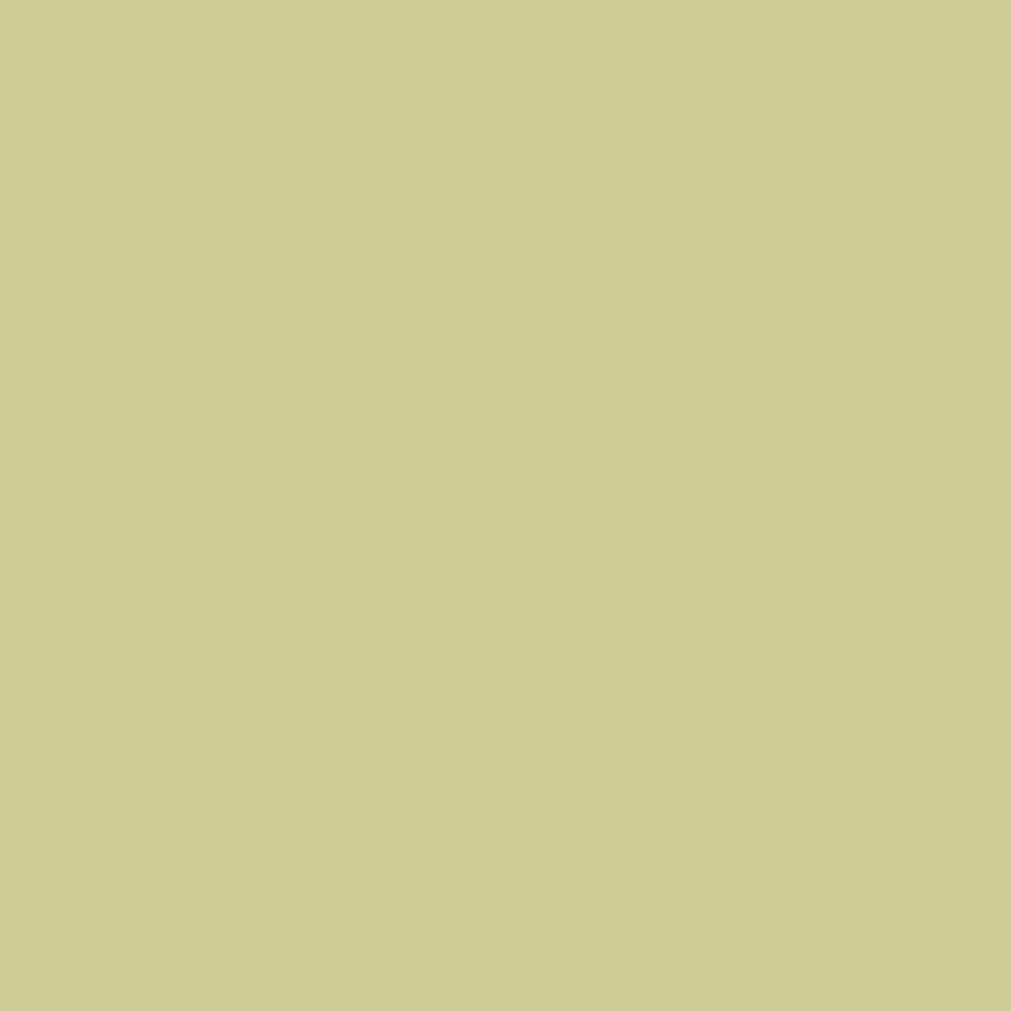 Sorbet Melon - Dulux / Armstead