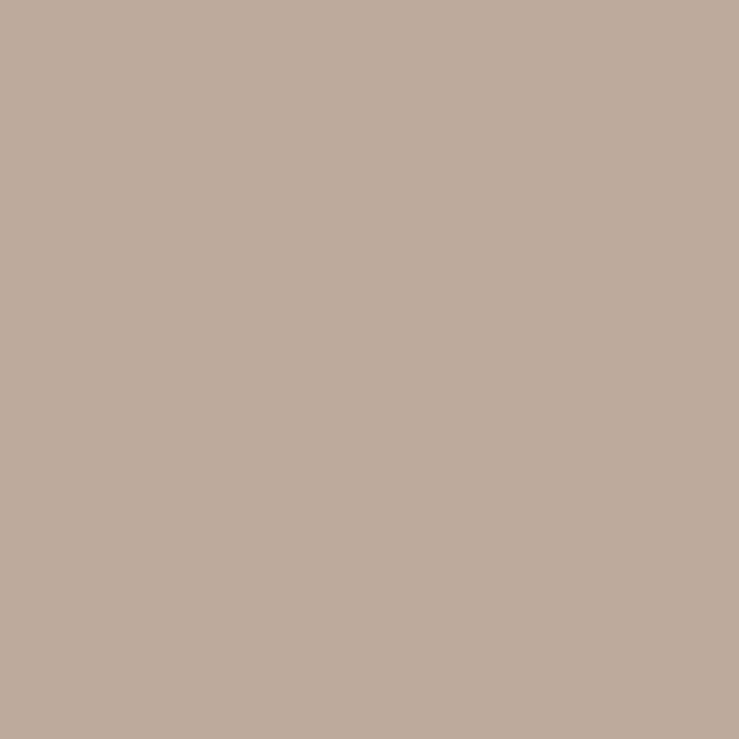 Muddy Puddle - Dulux / Armstead