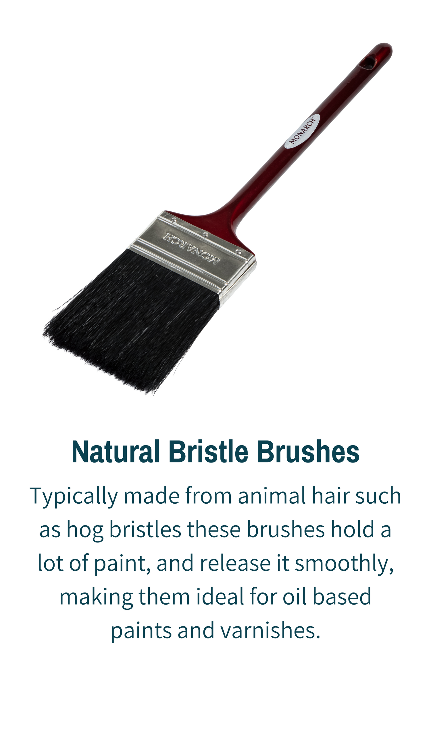 Natural Bristle Brushes