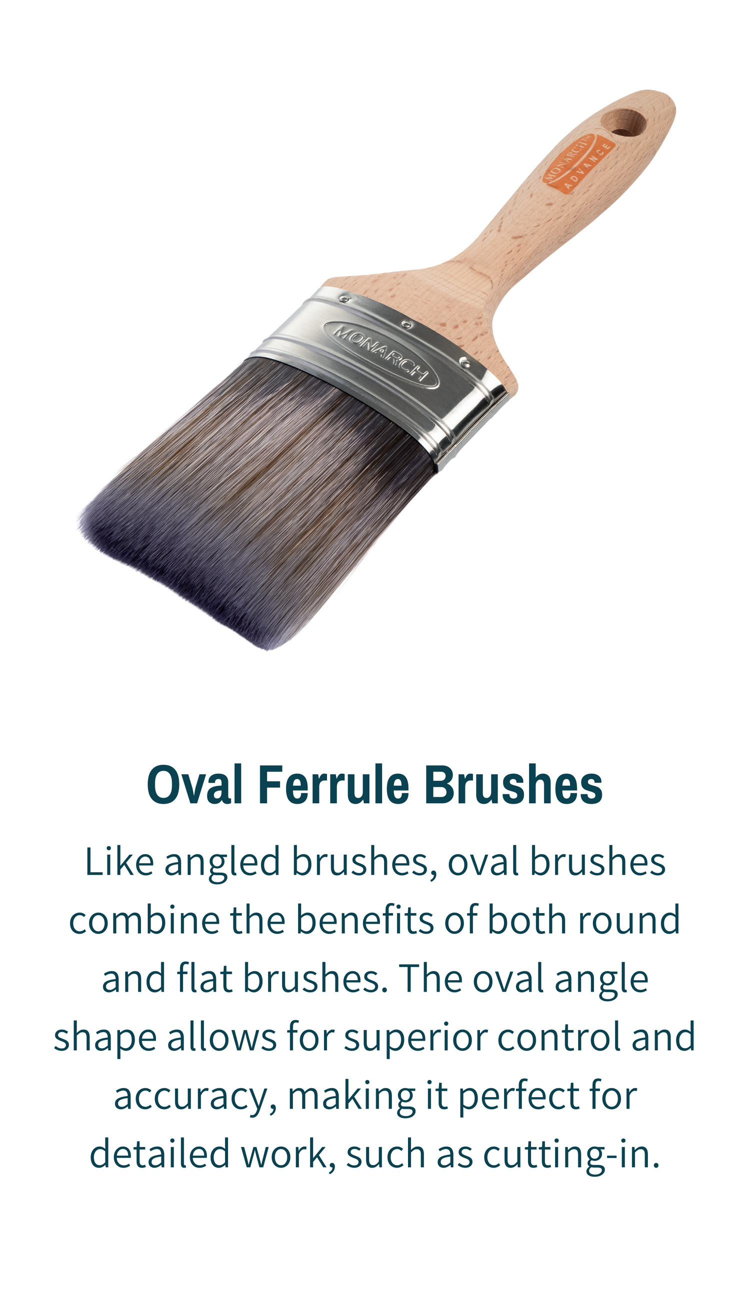 Oval Ferrule Paint Brushes