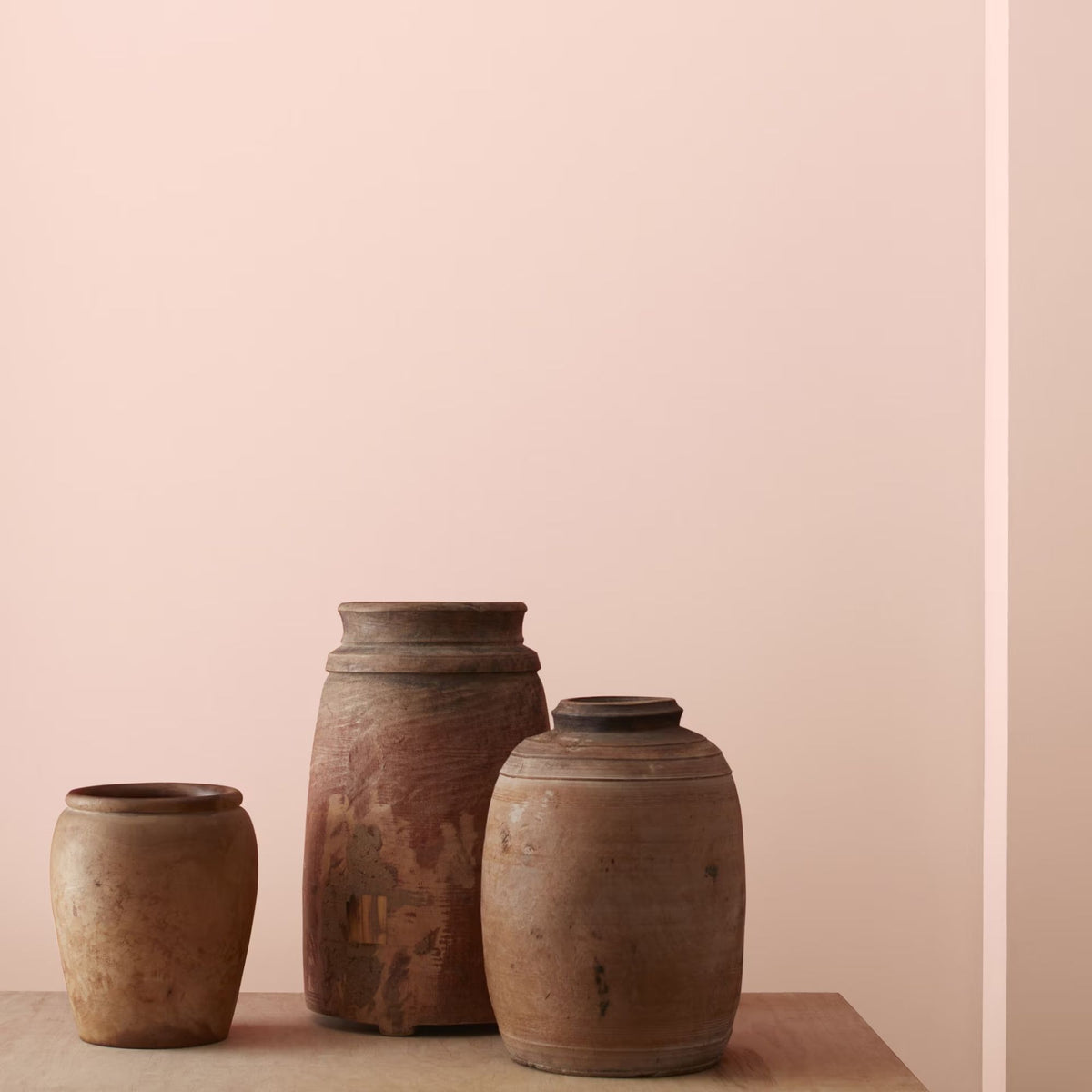 Fruited Plains (029) - Benjamin Moore