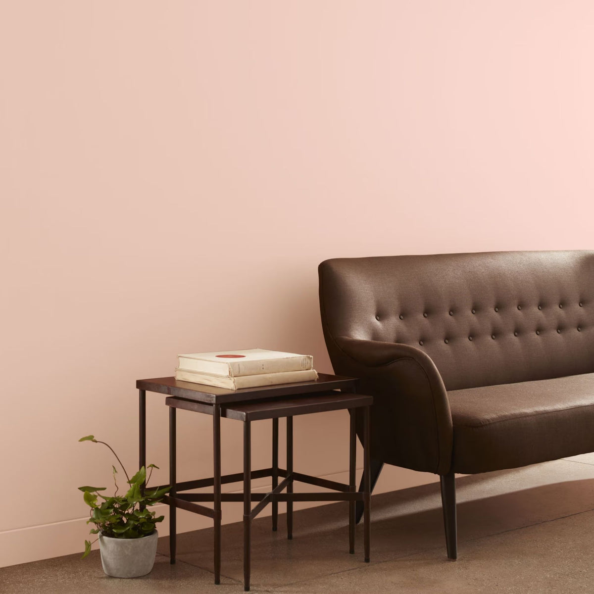 Precocious (051) - Benjamin Moore