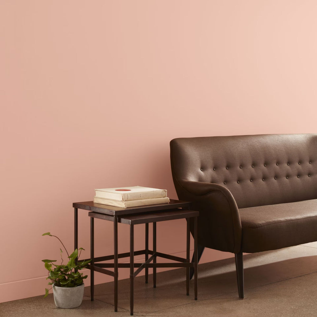 Conch Shell (052) - Benjamin Moore