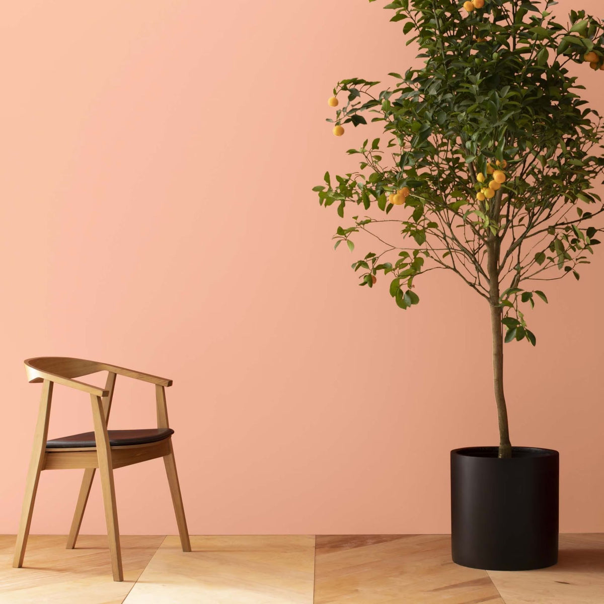 Amber Winds (073) - Benjamin Moore