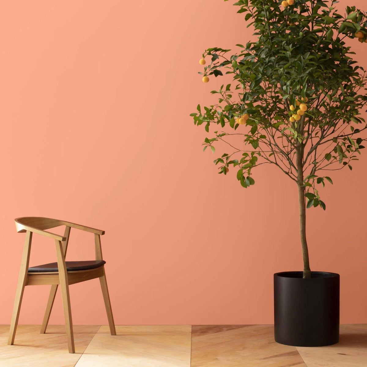 Sausalito Sunset (074) - Benjamin Moore