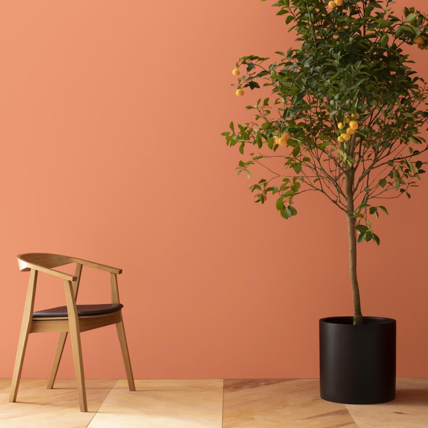 Flamingo Orange (075) - Benjamin Moore