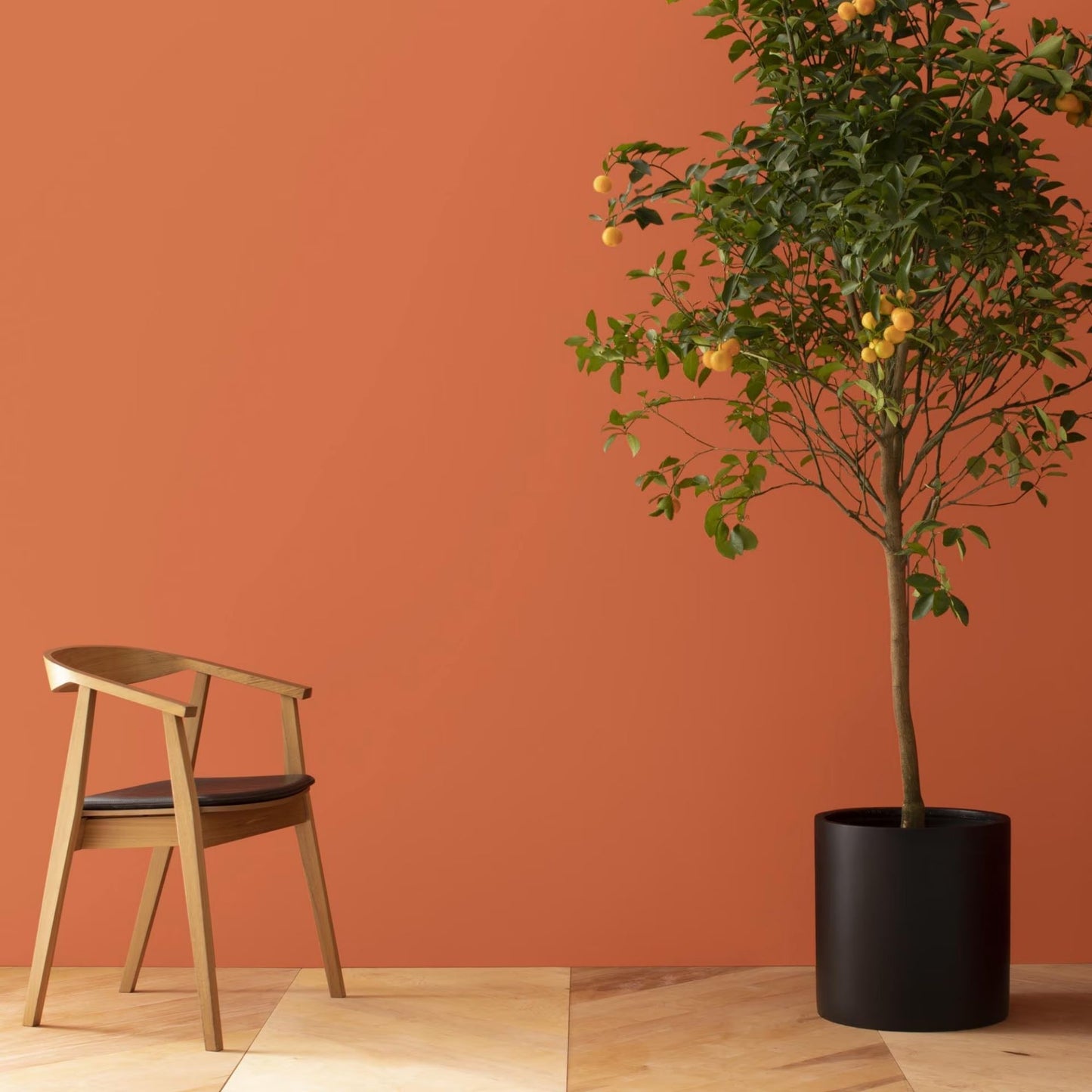 Corlsbud Canyon (076) - Benjamin Moore