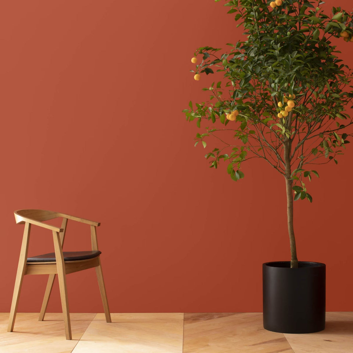 Fiery Opal (077) - Benjamin Moore