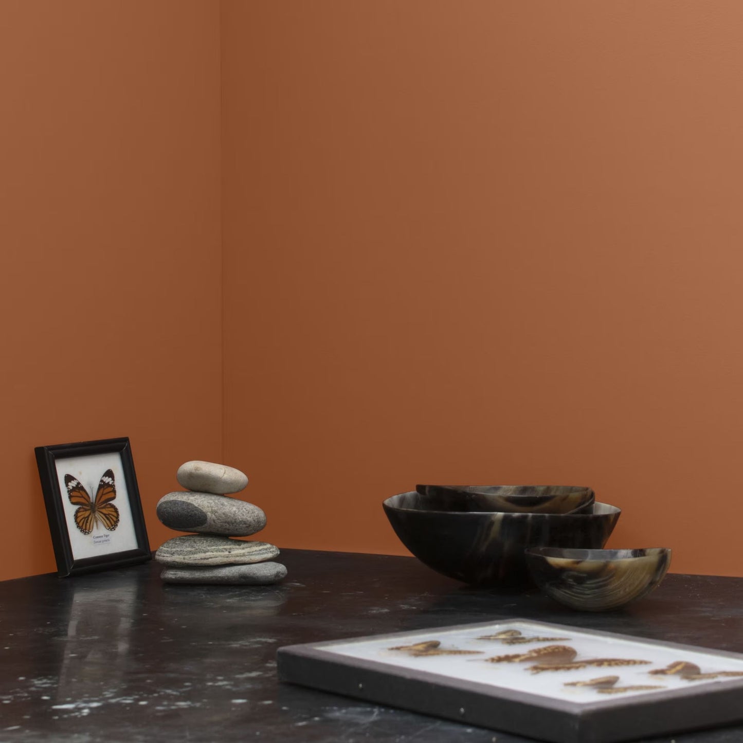 Terra Mauve (105) - Benjamin Moore