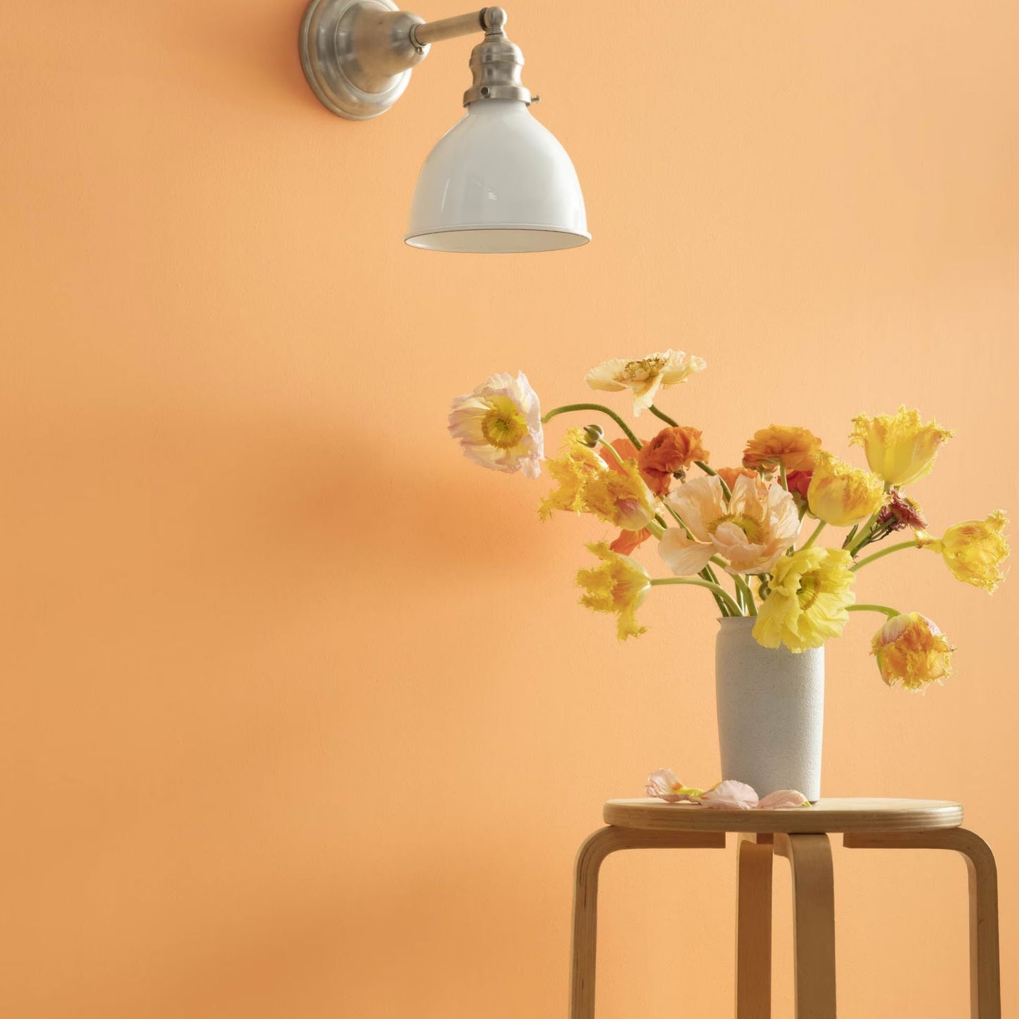 Citrus Blossom (123) - Benjamin Moore