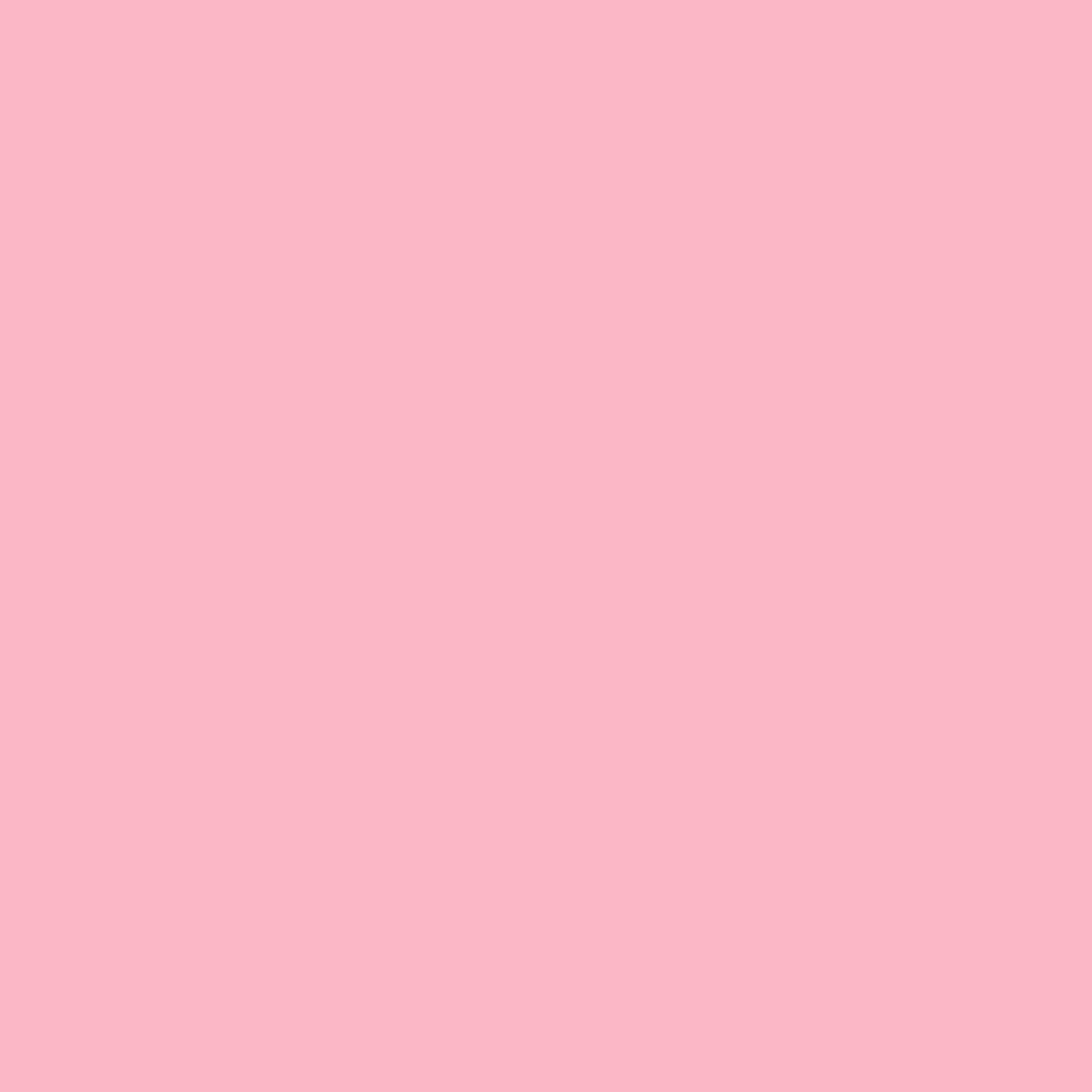 Rose Poudré (1325) - Benjamin Moore