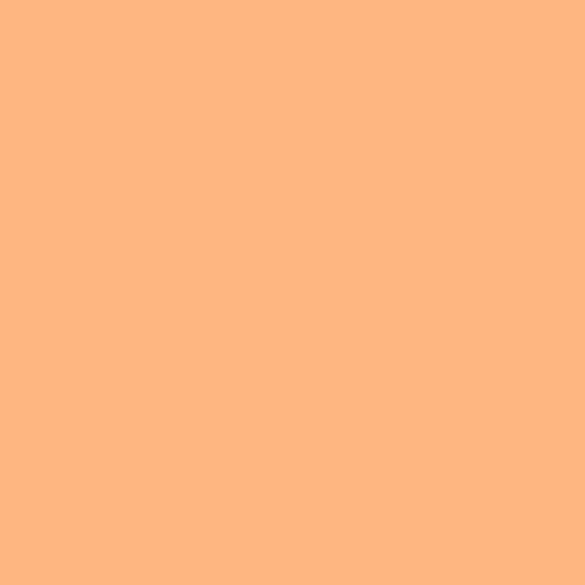 Solid mid tone orange colour swatch showing Benjamin Moore Vivid Beauty 138 paint colour