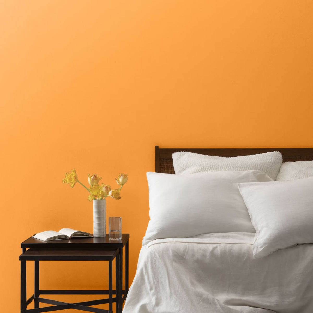 Mango Punch (154) - Benjamin Moore