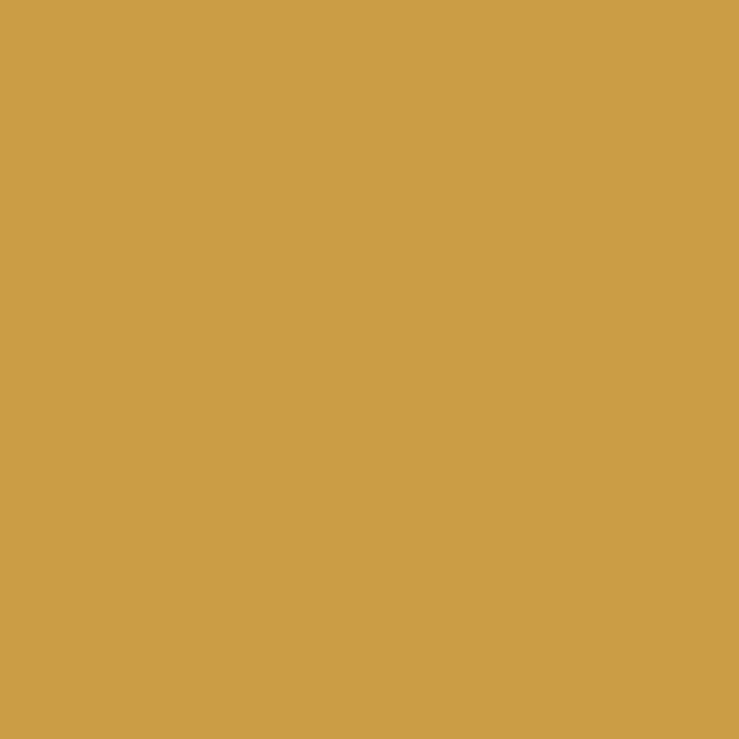 Solid deep yellow colour swatch showing Benjamin Moore Fields Of Gold 203 paint colour