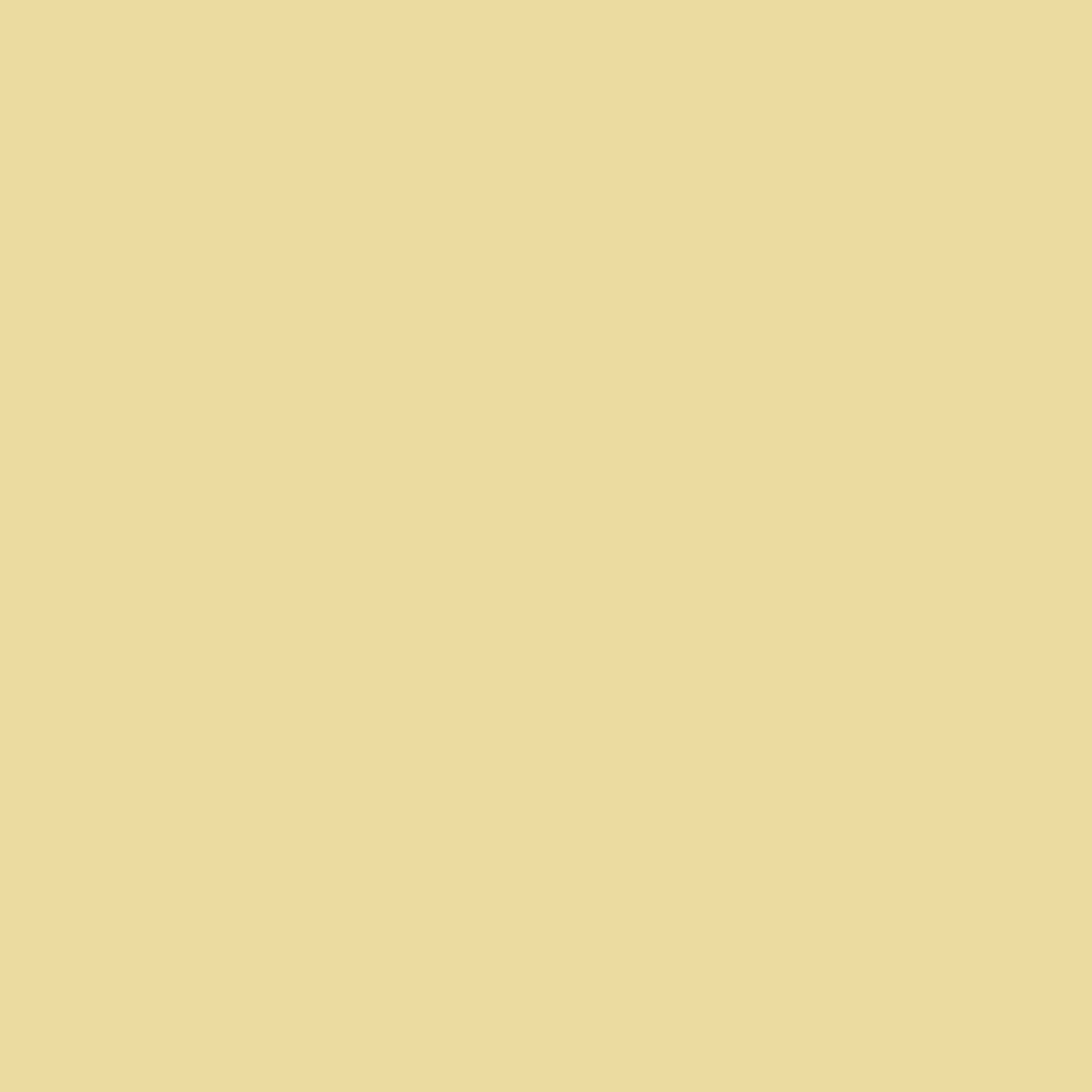 Solid light yellow cream colour swatch showing Benjamin Moore Valley View 214 paint colour