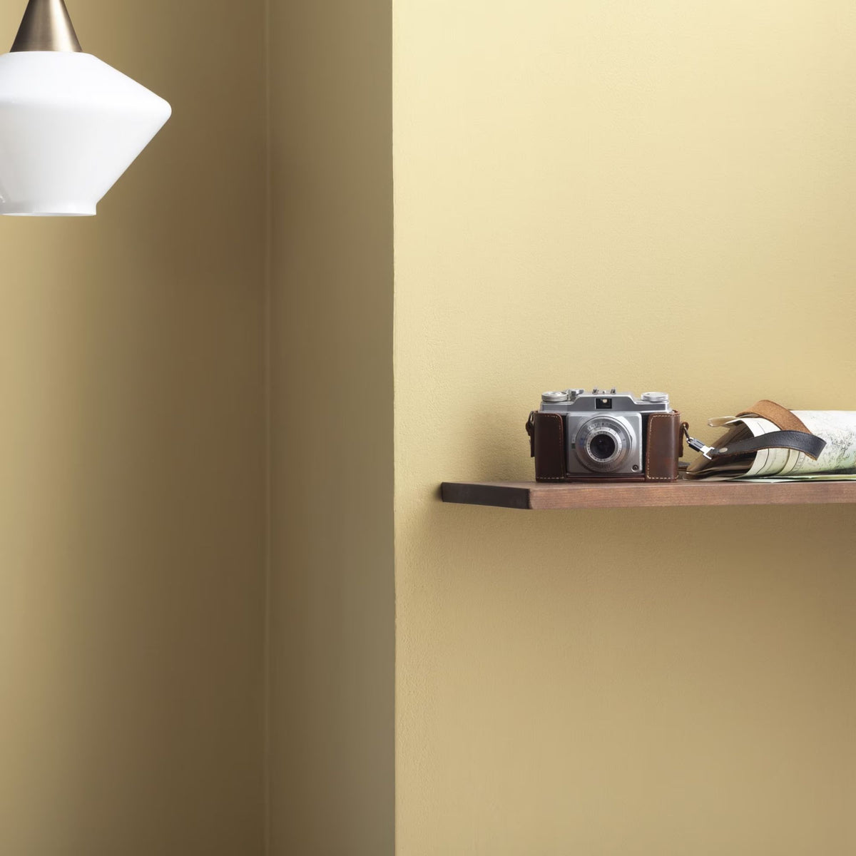 Golden Garden (221) - Benjamin Moore