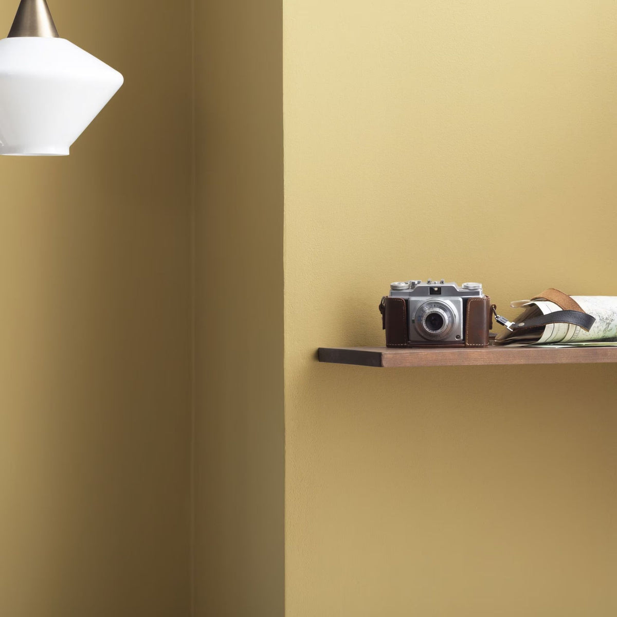 Mustard Seed (222) - Benjamin Moore