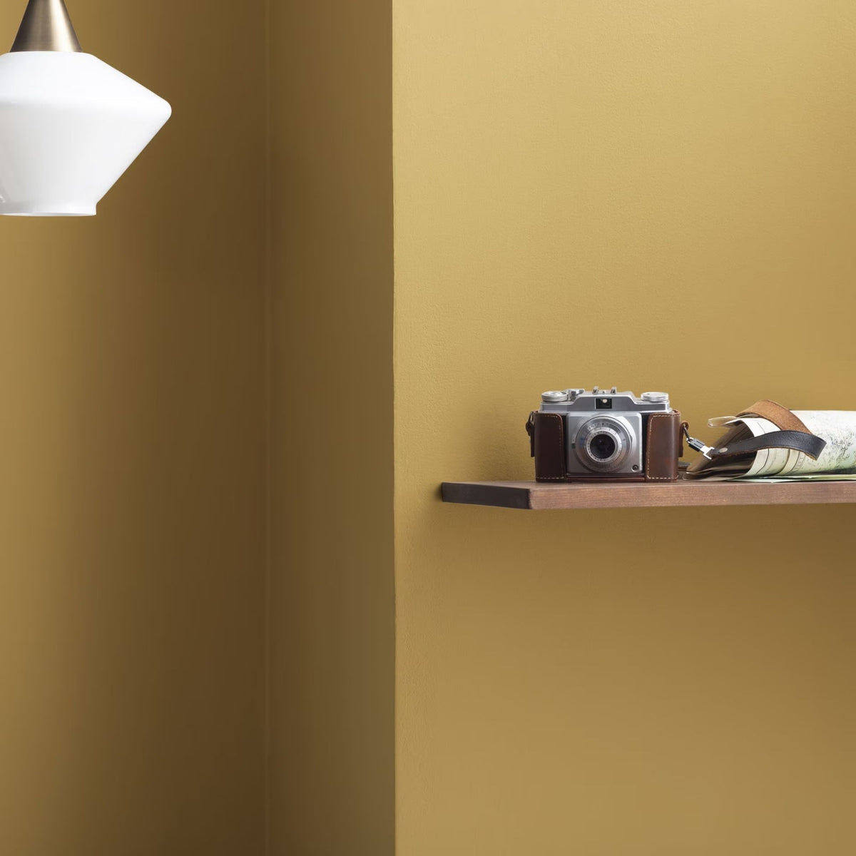 El Sereno Gold (223) - Benjamin Moore