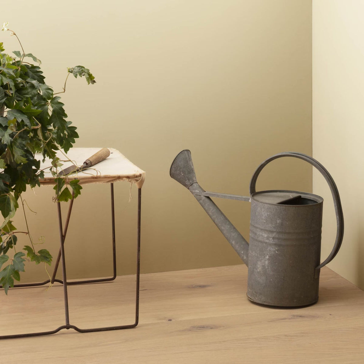 Twisted Oak Path (226) - Benjamin Moore
