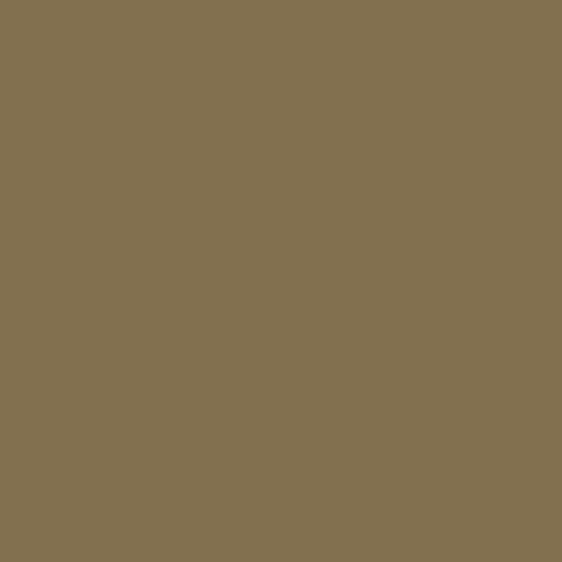 Solid deep brown colour swatch showing Benjamin Moore Silken Moss 237 paint colour