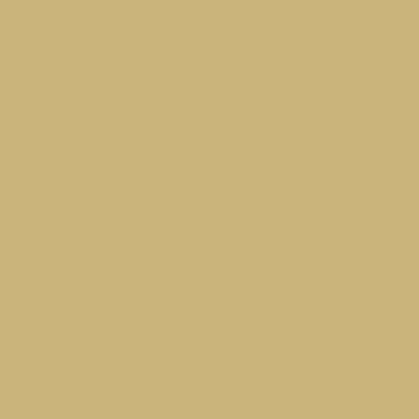 Solid mid tone yellow brown colour swatch showing Benjamin Moore Westwood Tan 256 paint colour