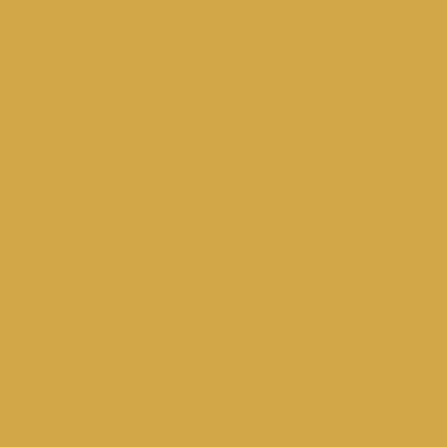 Solid deep yellow gold mustard colour swatch showing Benjamin Moore Golden Bounty 294 paint colour