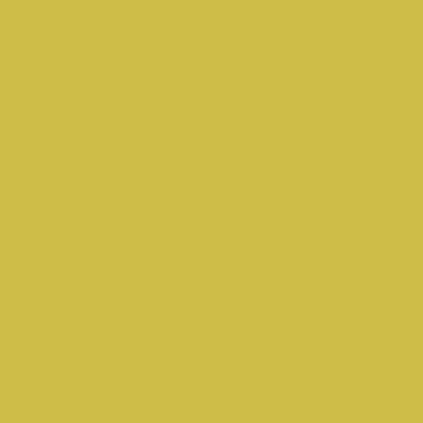 Solid deep yellow gold colour swatch showing Benjamin Moore Bright Gold 371 paint colour